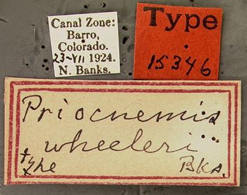 Media type: image;   Entomology 15346 Aspect: labels